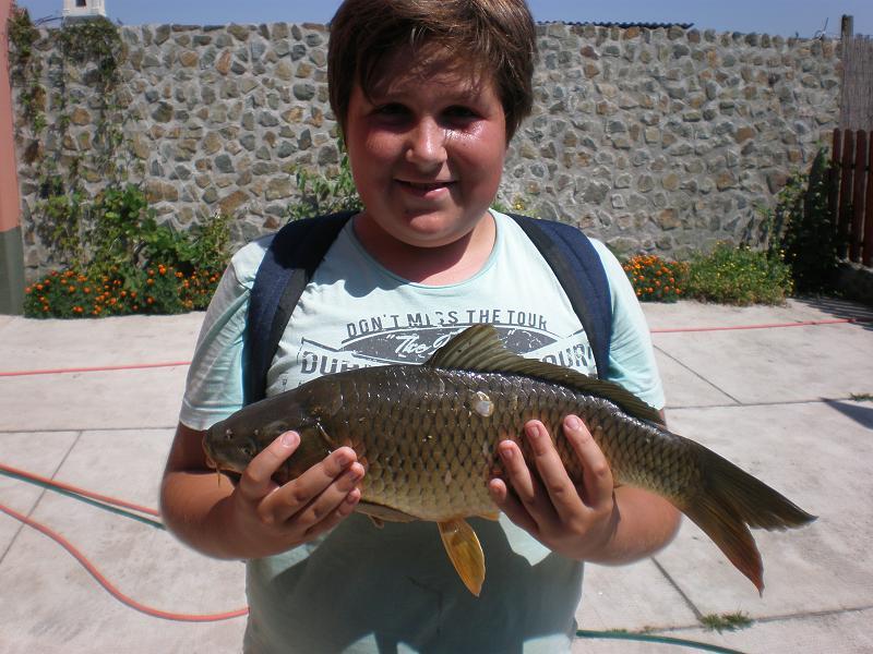 Vara 2012 - 562816_401959656532991_1015102365_n.jpg